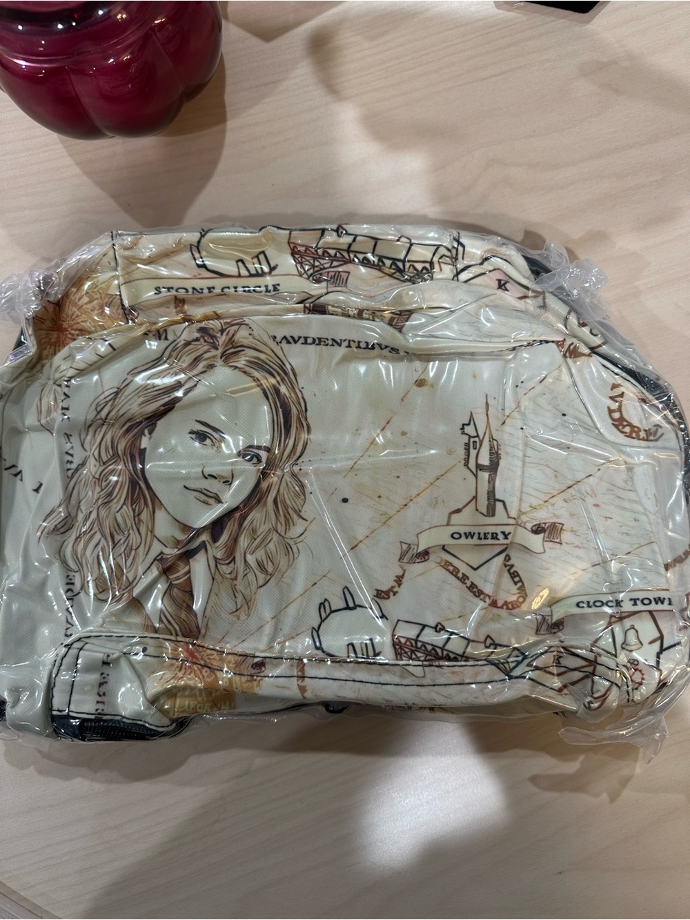 Harry Potter Map Themed Backpack with Hermione and Ron (Factory Vacuum Sealed)